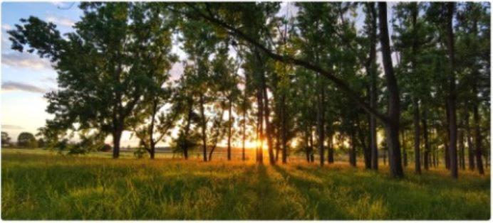 All Seasons Country Lodge Taree Εξωτερικό φωτογραφία