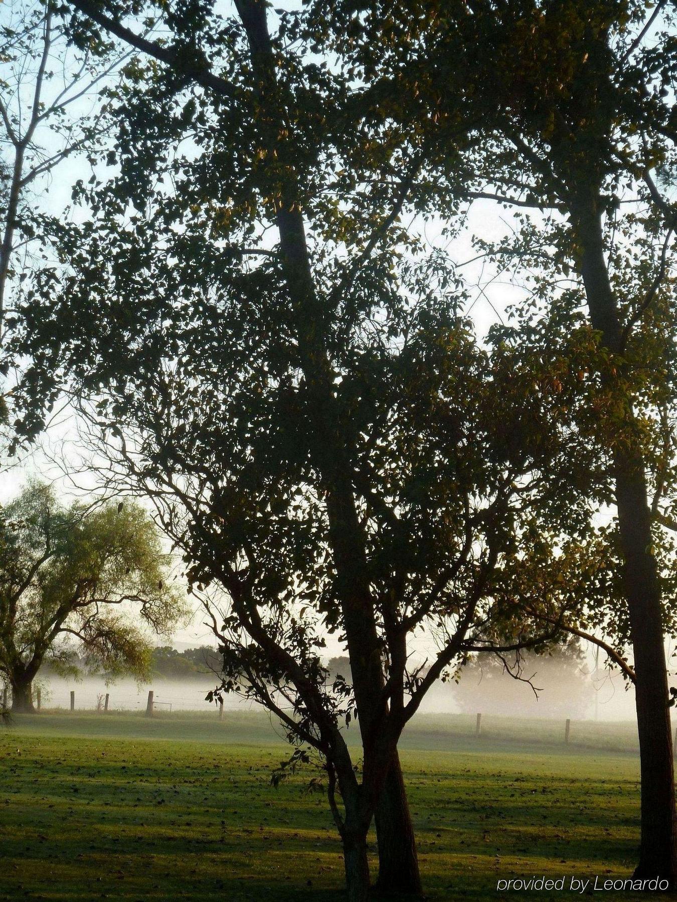 All Seasons Country Lodge Taree Εξωτερικό φωτογραφία