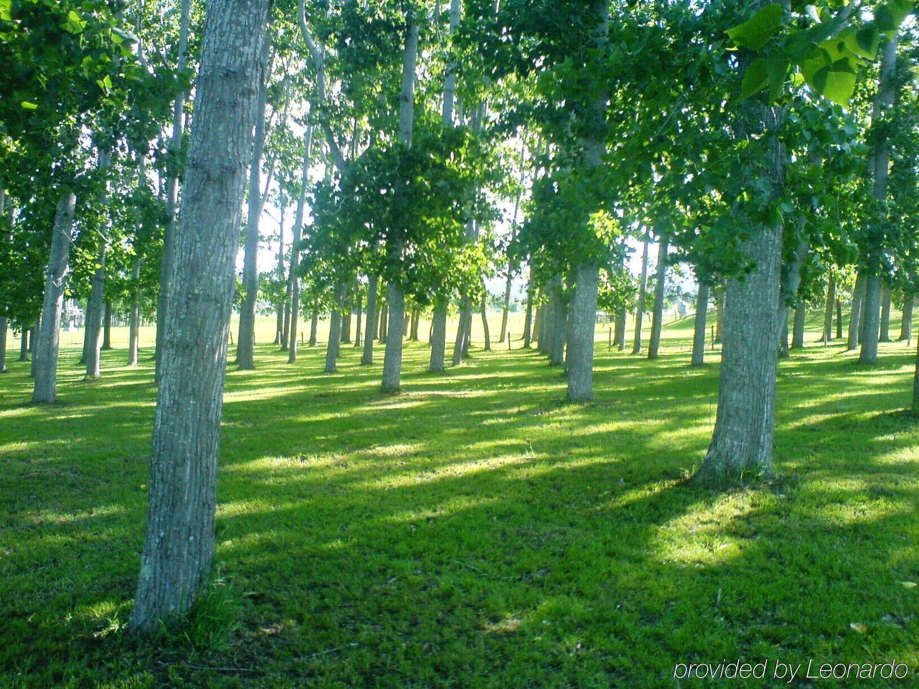 All Seasons Country Lodge Taree Εξωτερικό φωτογραφία